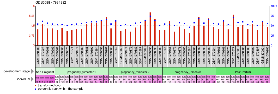 Gene Expression Profile