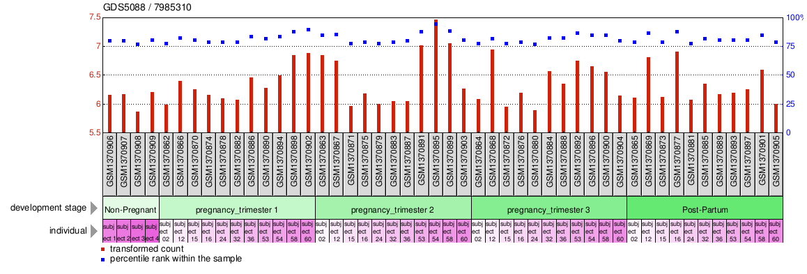 Gene Expression Profile