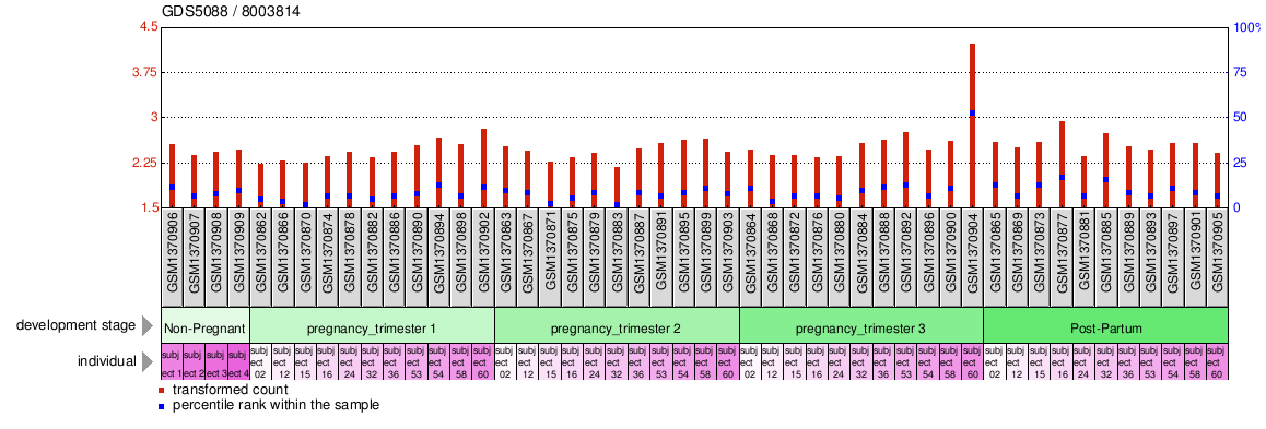 Gene Expression Profile