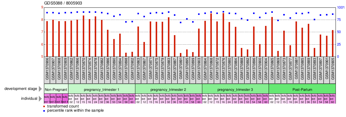 Gene Expression Profile