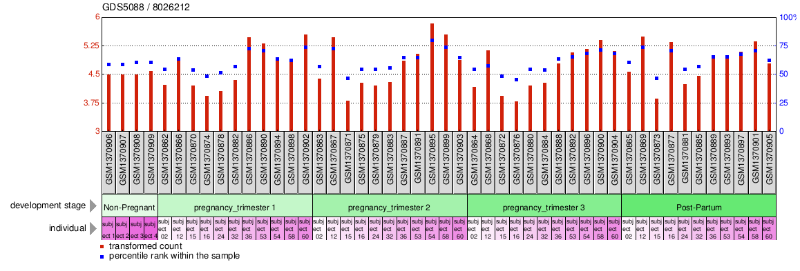 Gene Expression Profile