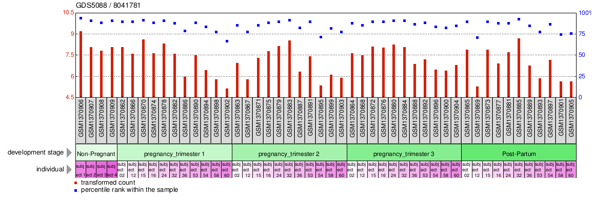 Gene Expression Profile