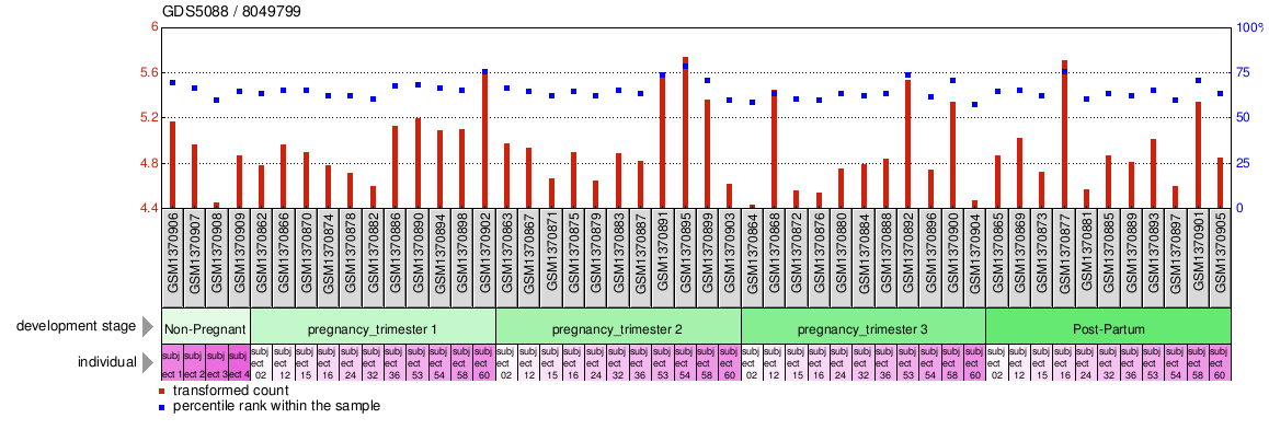 Gene Expression Profile