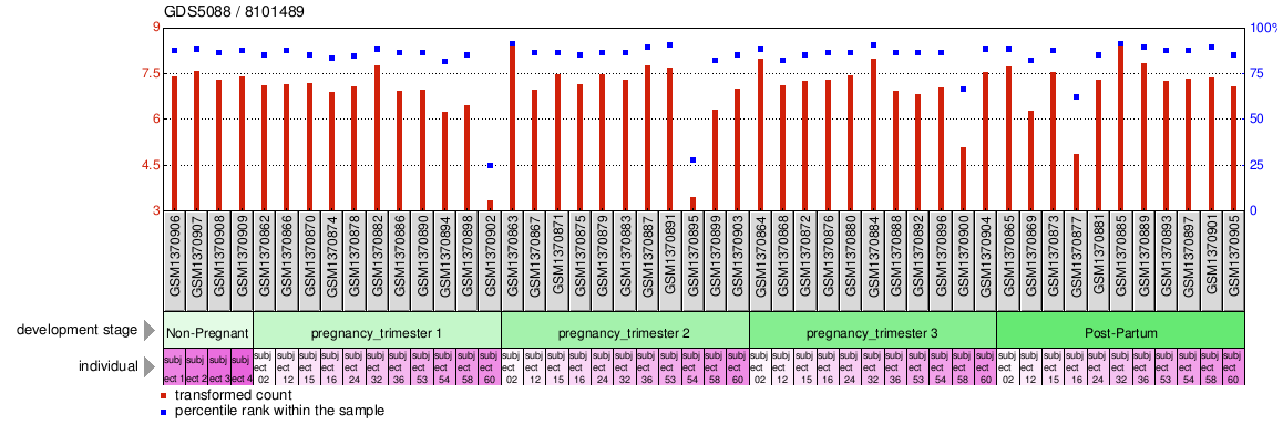 Gene Expression Profile