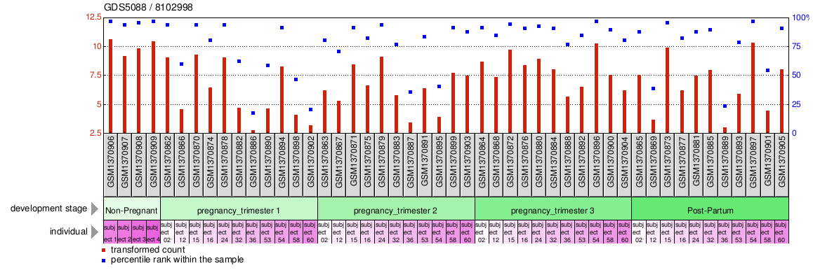 Gene Expression Profile