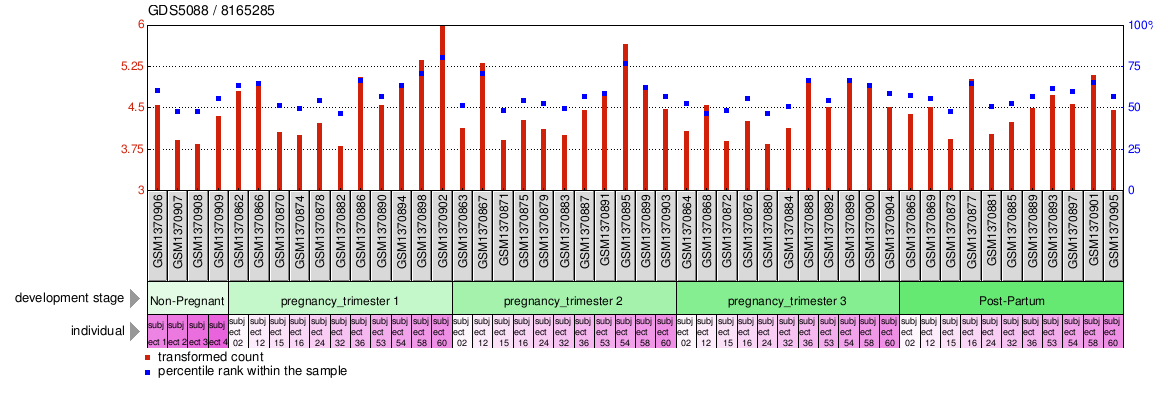 Gene Expression Profile