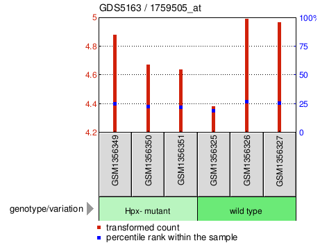 Gene Expression Profile