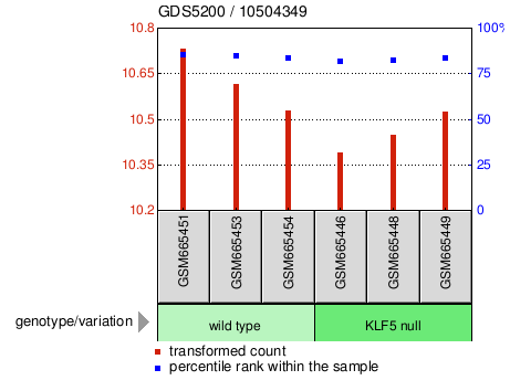 Gene Expression Profile