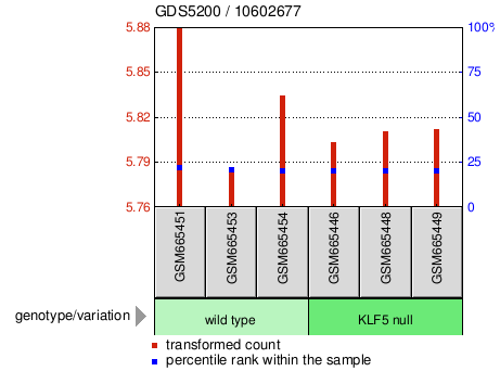 Gene Expression Profile