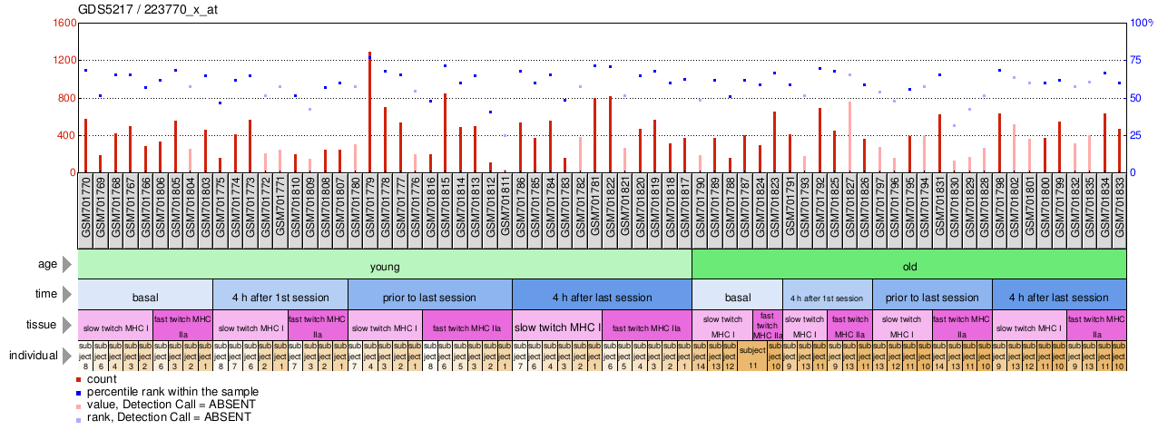 Gene Expression Profile