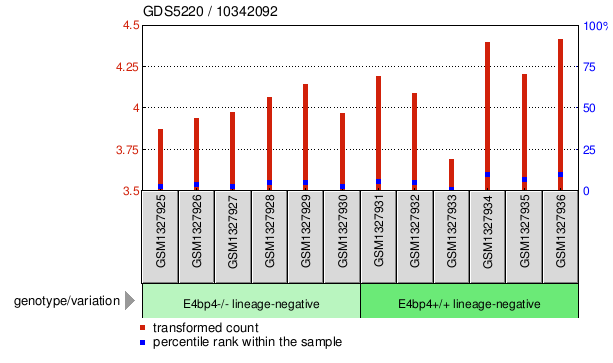 Gene Expression Profile