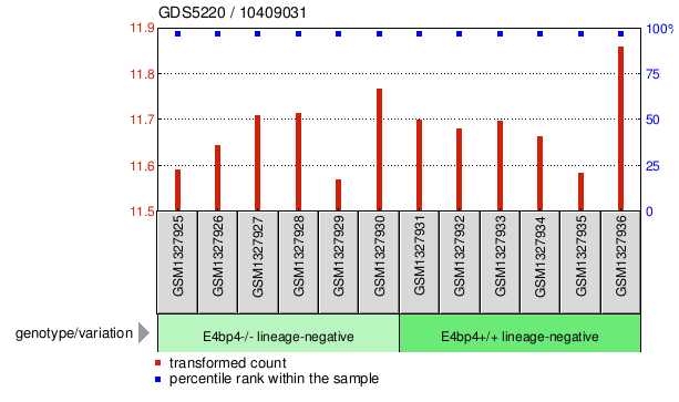 Gene Expression Profile