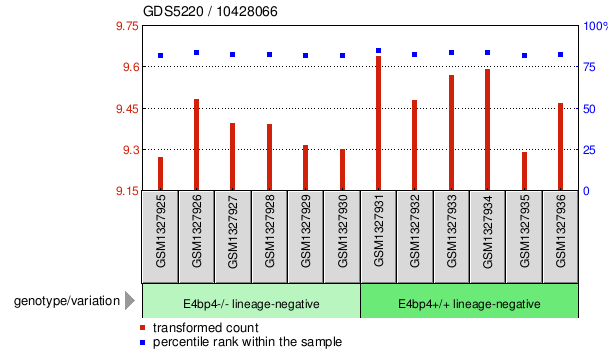 Gene Expression Profile