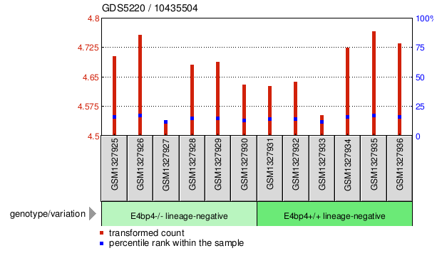 Gene Expression Profile