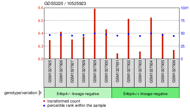 Gene Expression Profile