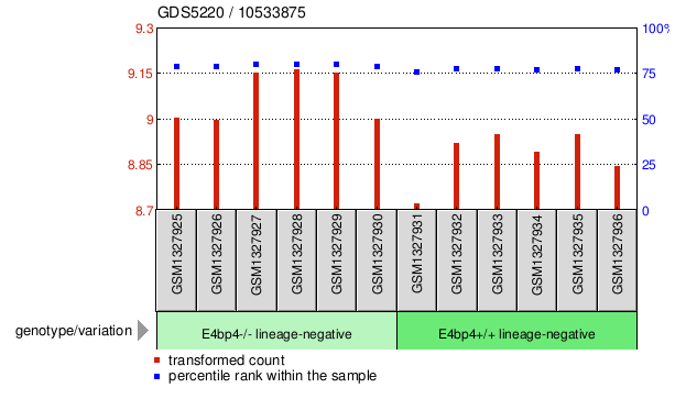 Gene Expression Profile