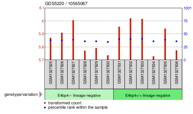 Gene Expression Profile