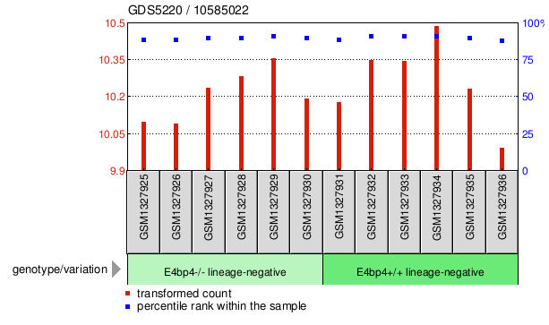 Gene Expression Profile