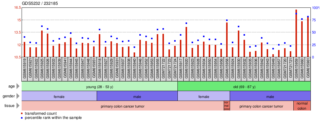 Gene Expression Profile