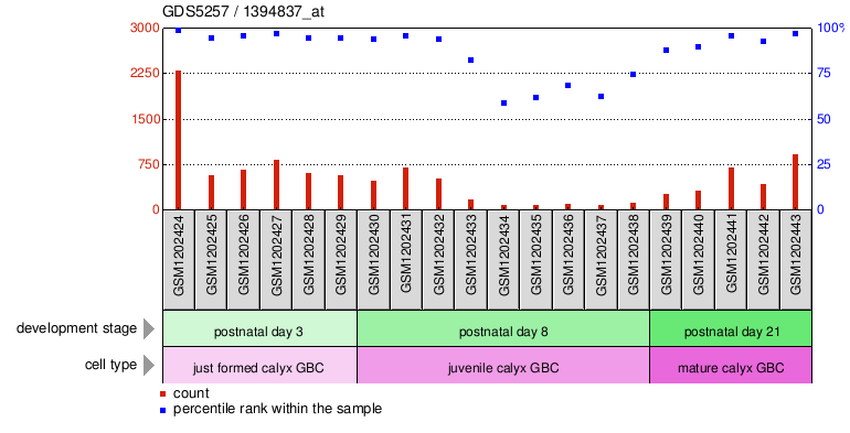 Gene Expression Profile