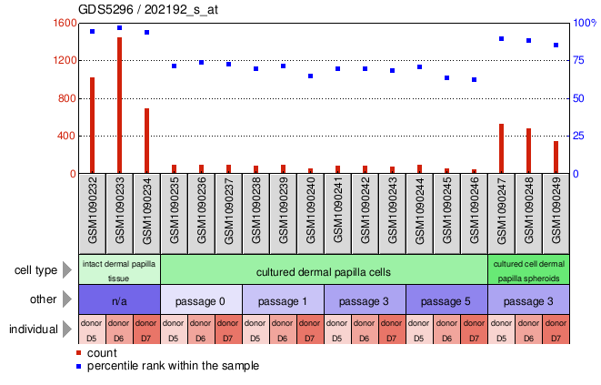 Gene Expression Profile