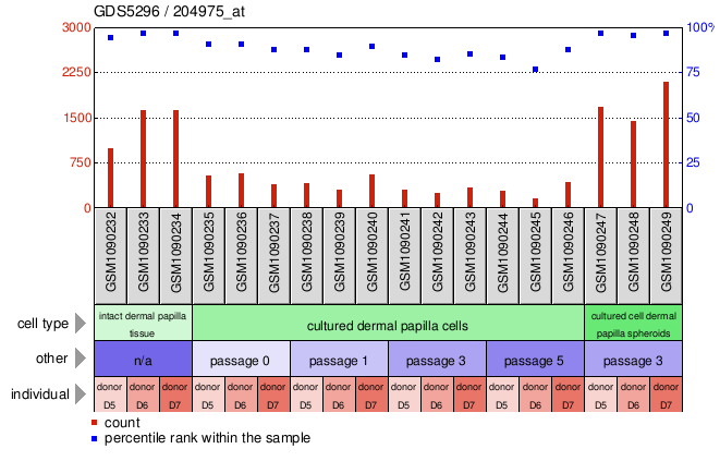 Gene Expression Profile