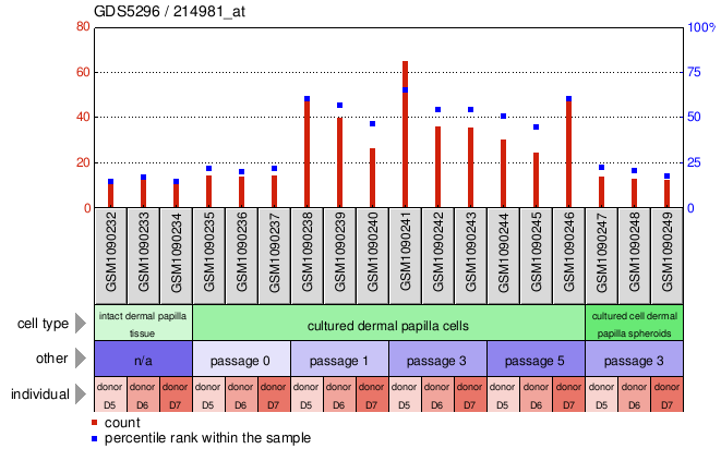 Gene Expression Profile