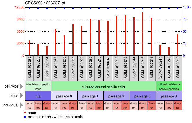 Gene Expression Profile