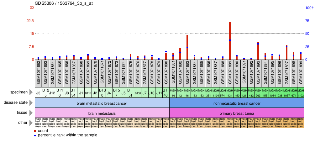 Gene Expression Profile