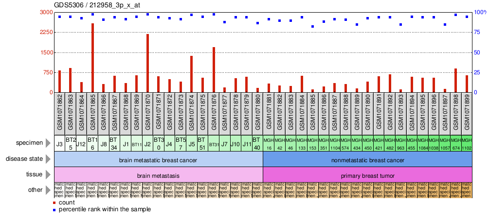 Gene Expression Profile