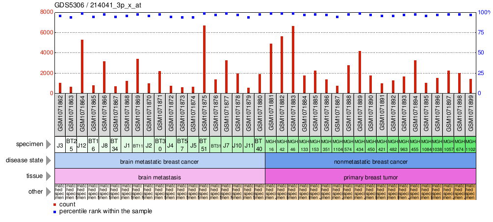 Gene Expression Profile