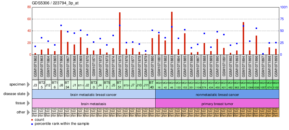 Gene Expression Profile