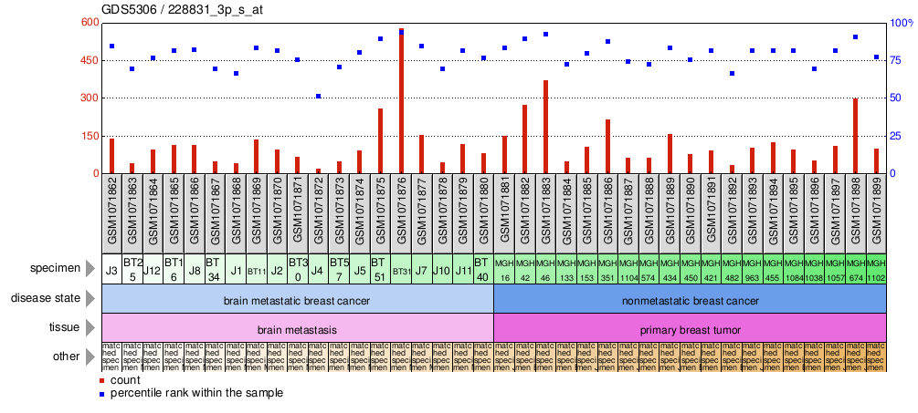 Gene Expression Profile