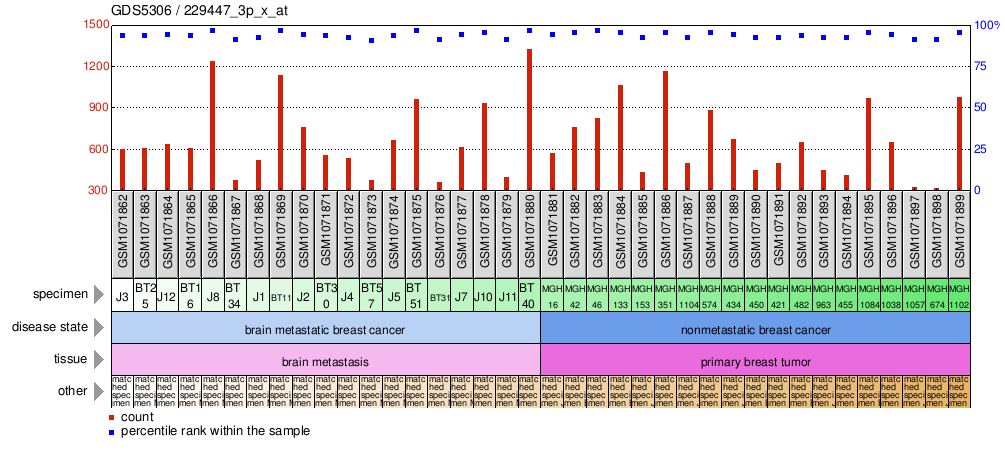 Gene Expression Profile