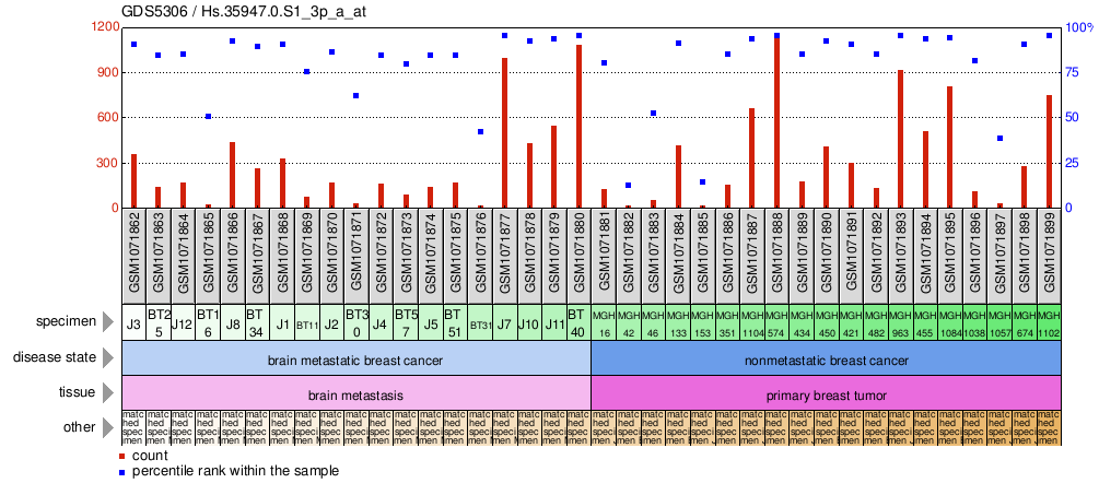 Gene Expression Profile