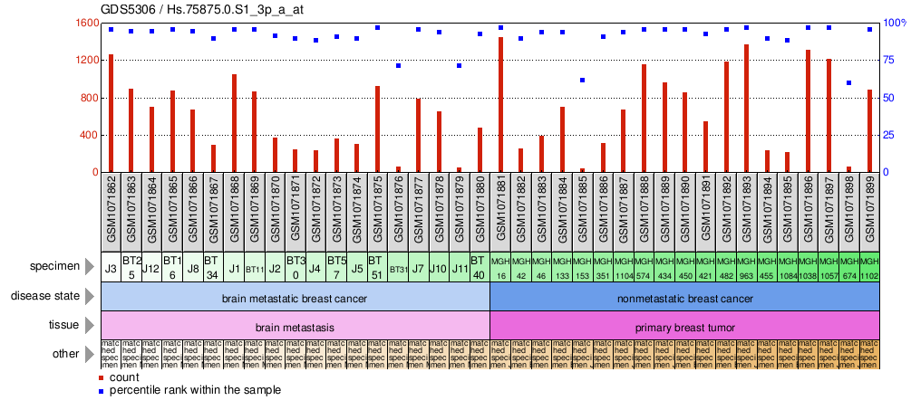 Gene Expression Profile