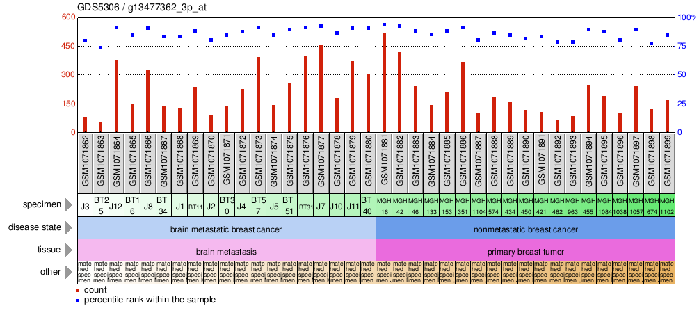 Gene Expression Profile