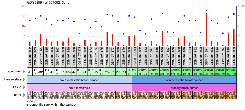 Gene Expression Profile