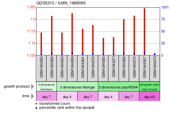 Gene Expression Profile