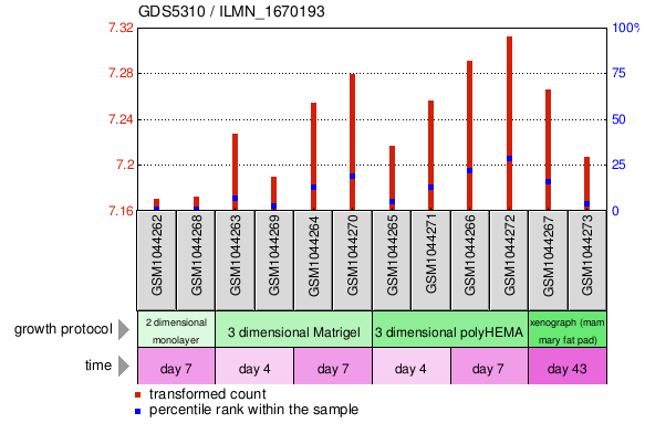 Gene Expression Profile