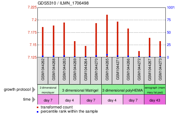 Gene Expression Profile