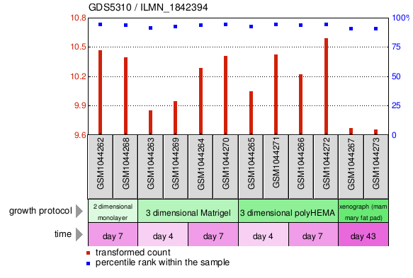 Gene Expression Profile