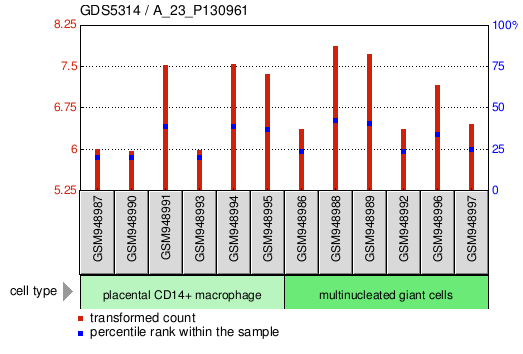 Gene Expression Profile