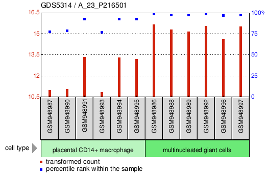 Gene Expression Profile