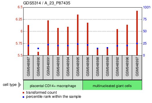 Gene Expression Profile