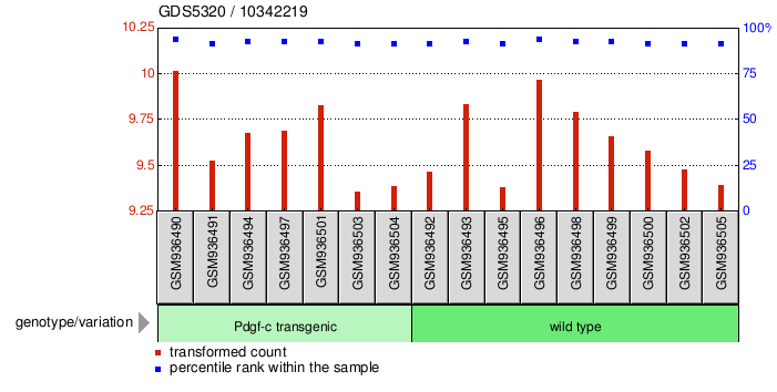 Gene Expression Profile