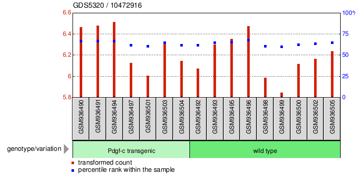 Gene Expression Profile