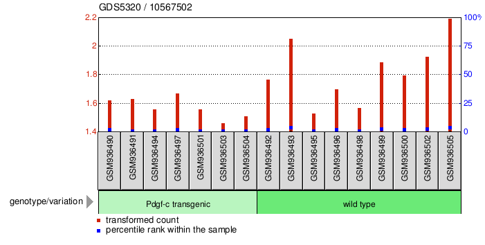 Gene Expression Profile