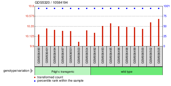 Gene Expression Profile