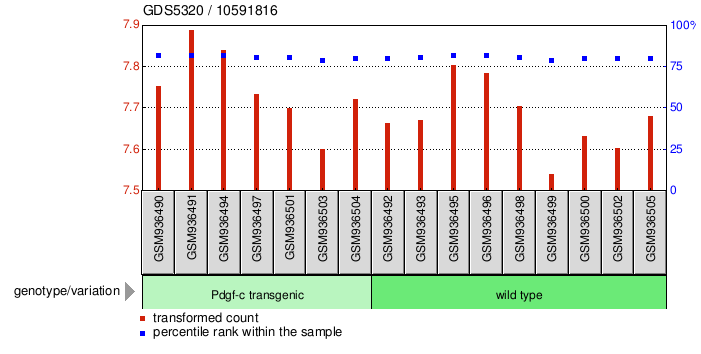 Gene Expression Profile